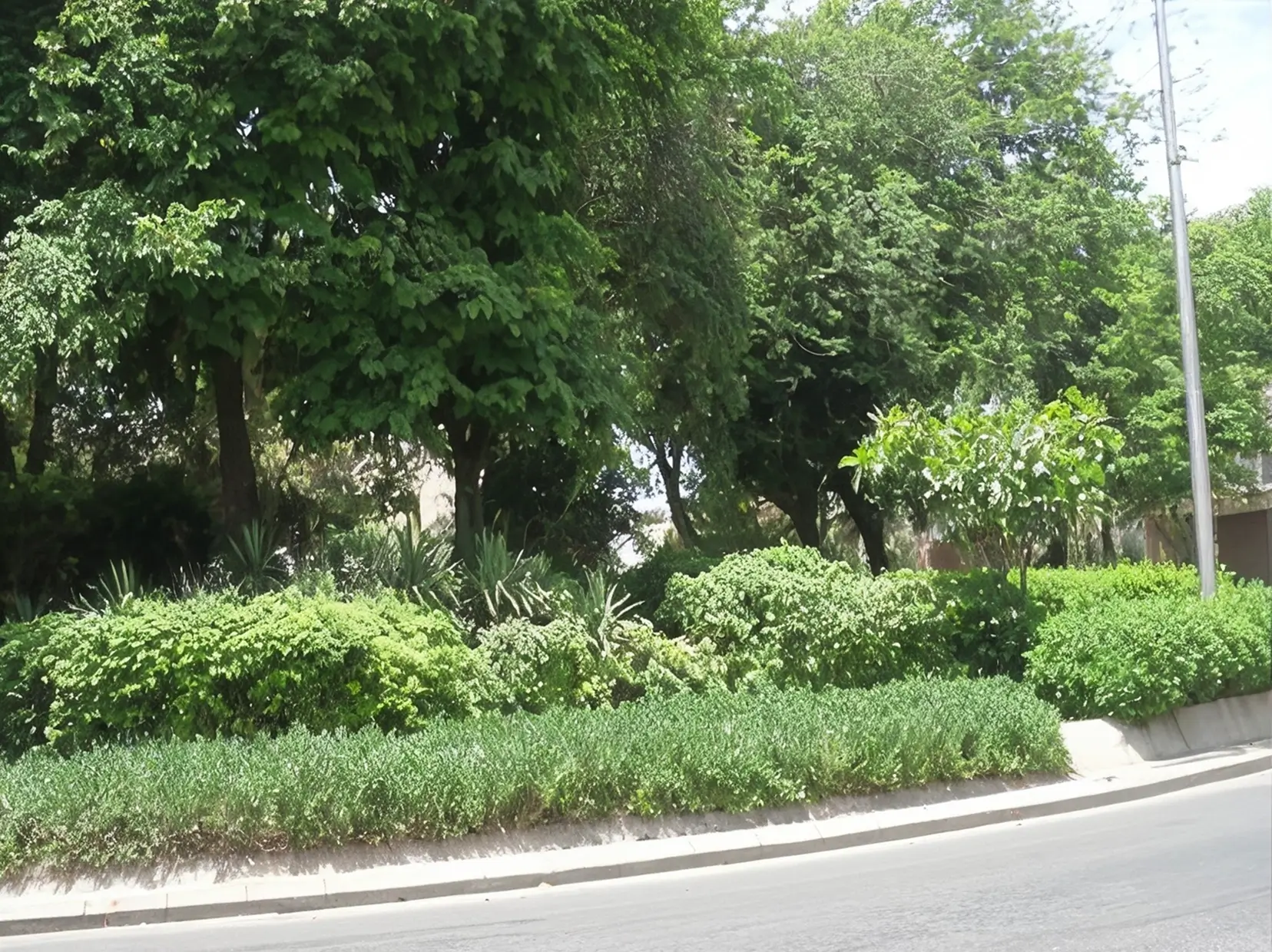 Multiple - Image 12