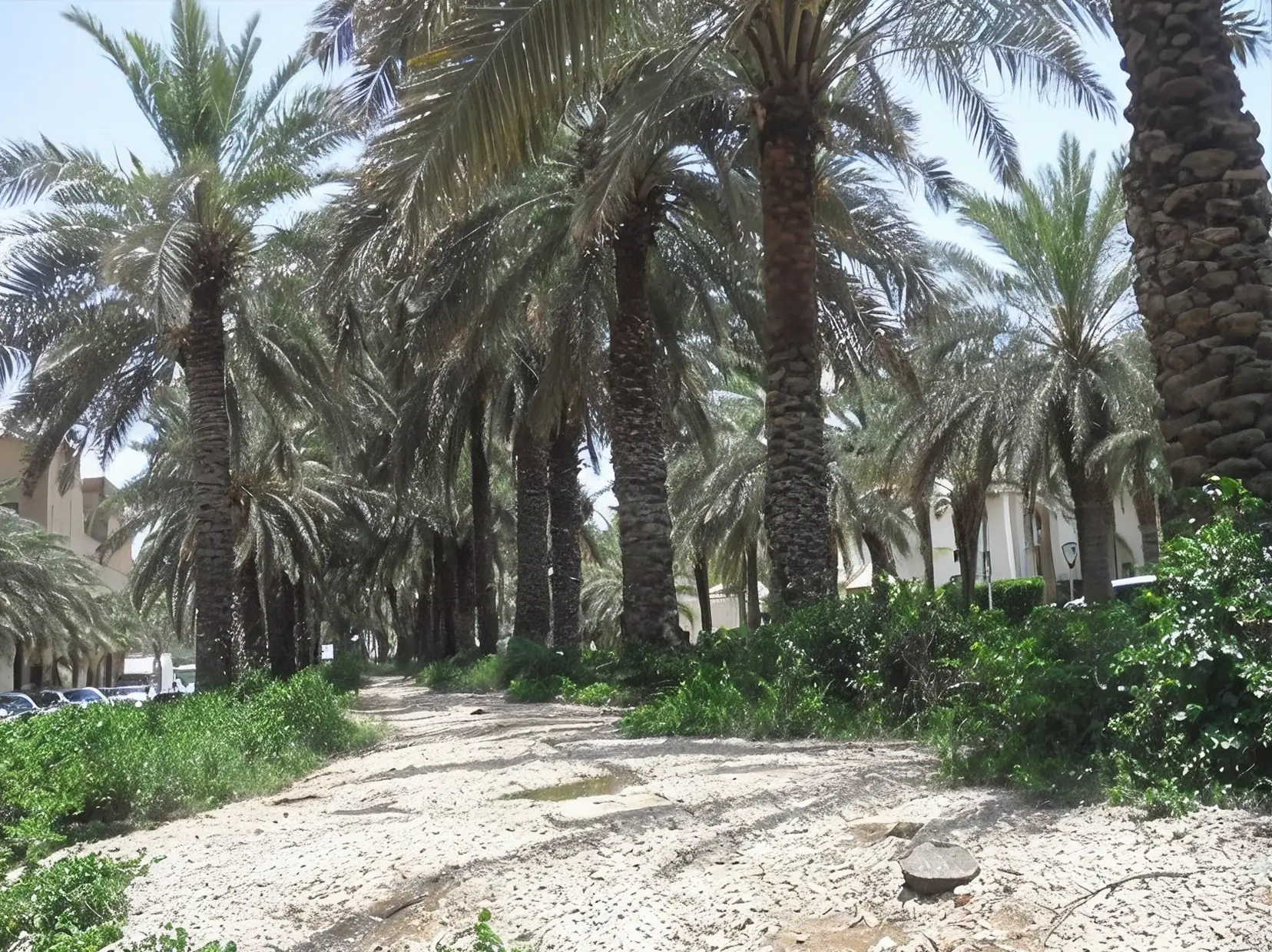 Multiple - Image 18