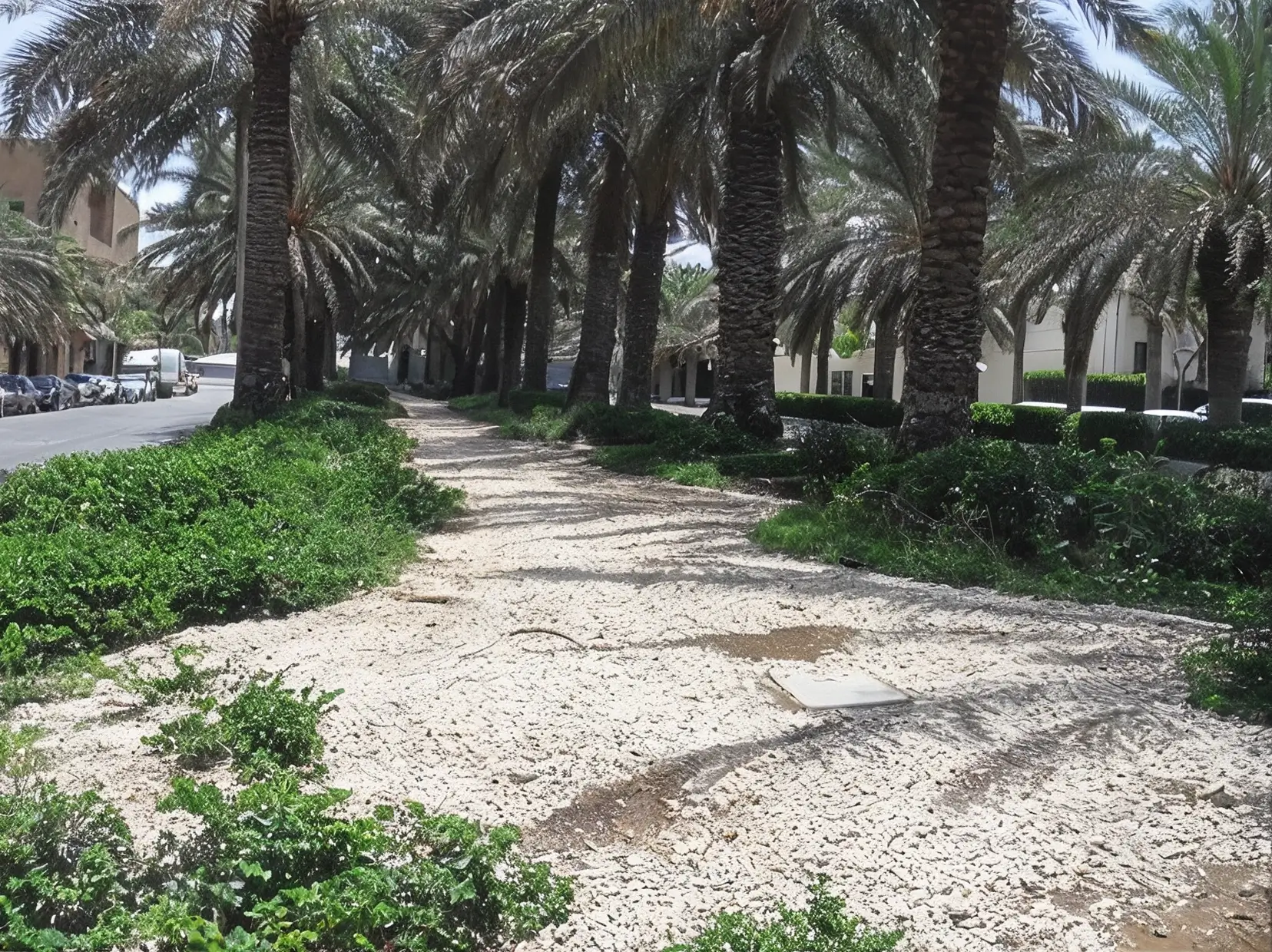 Multiple - Image 3