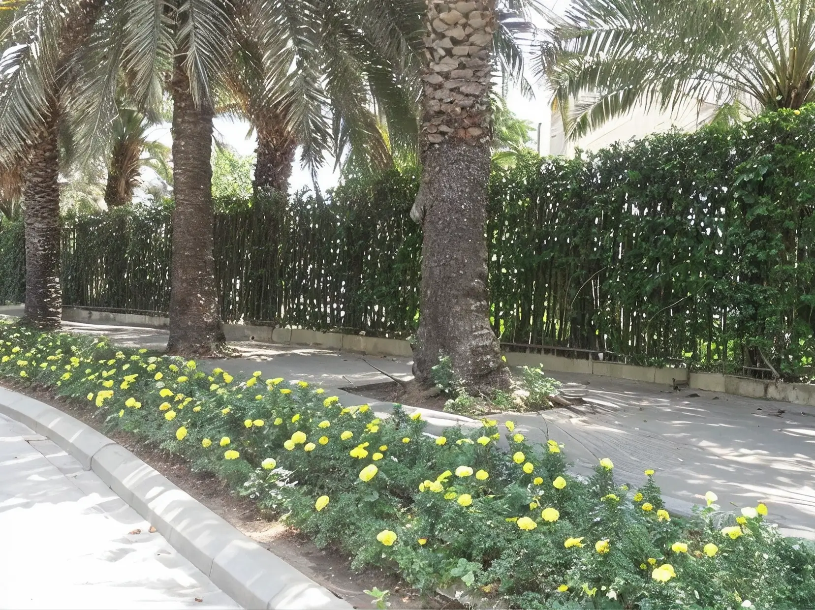 Multiple - Image 8